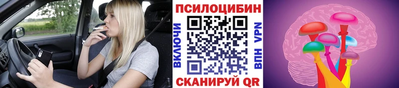 Псилоцибиновые грибы Psilocybe  Лосино-Петровский 
