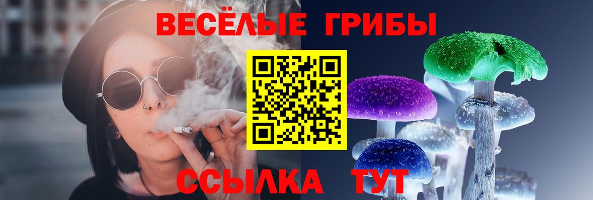 Галлюциногенные грибы Cubensis  Вход с VPN  Лосино-Петровский 